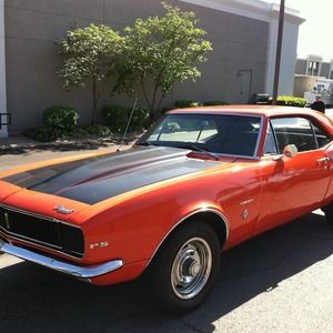 Meet your Posher, Shawn